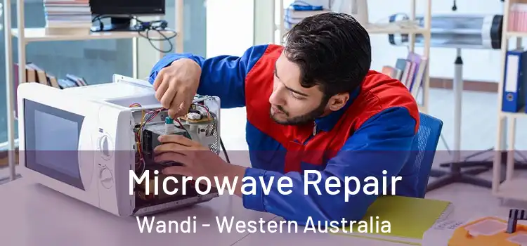 Microwave Repair Wandi - Western Australia