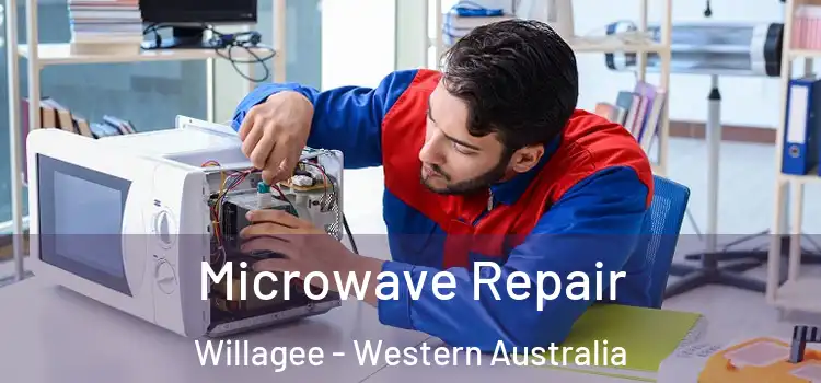 Microwave Repair Willagee - Western Australia