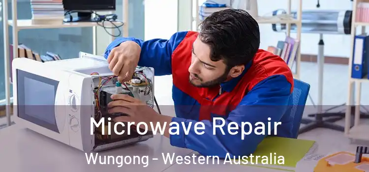 Microwave Repair Wungong - Western Australia