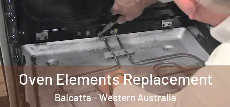Oven Elements Replacement Balcatta - Western Australia