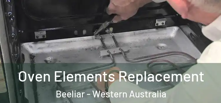 Oven Elements Replacement Beeliar - Western Australia