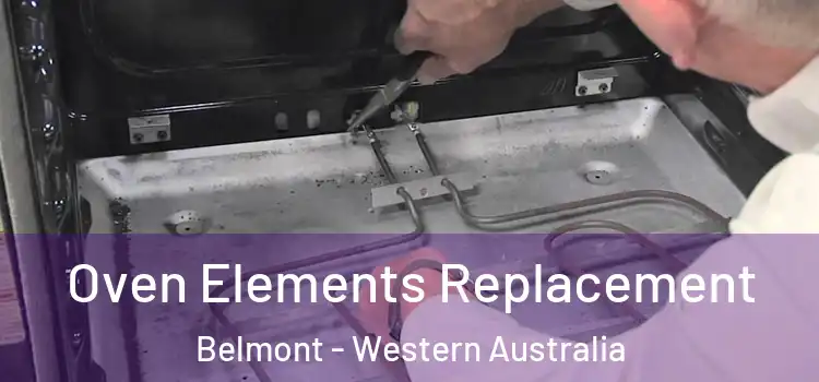 Oven Elements Replacement Belmont - Western Australia