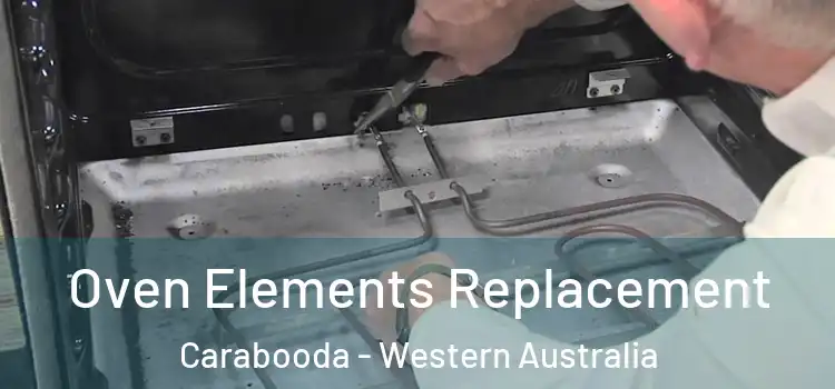 Oven Elements Replacement Carabooda - Western Australia