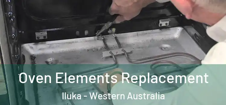 Oven Elements Replacement Iluka - Western Australia