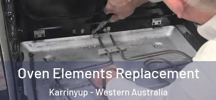 Oven Elements Replacement Karrinyup - Western Australia