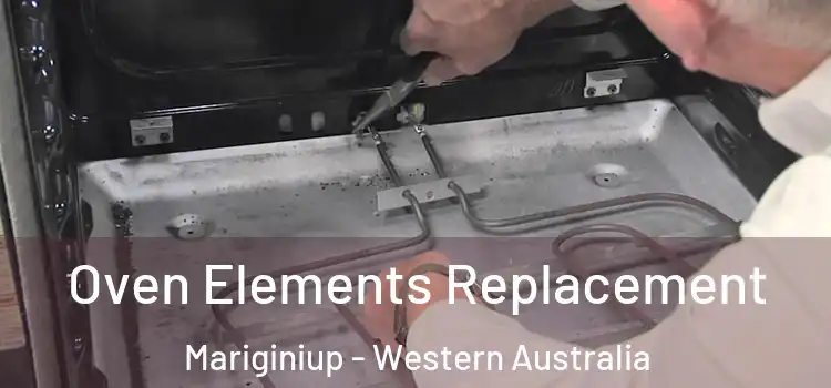 Oven Elements Replacement Mariginiup - Western Australia
