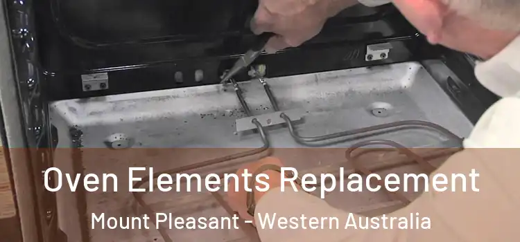 Oven Elements Replacement Mount Pleasant - Western Australia