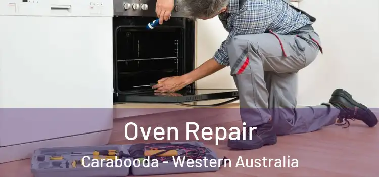 Oven Repair Carabooda - Western Australia