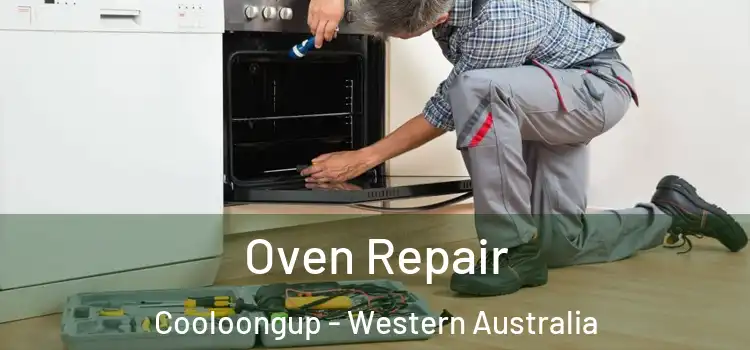Oven Repair Cooloongup - Western Australia