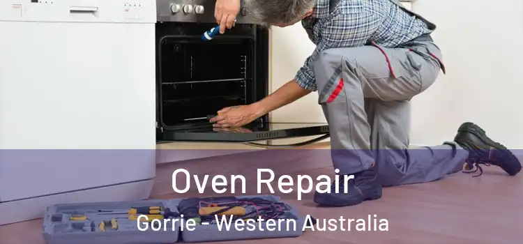 Oven Repair Gorrie - Western Australia