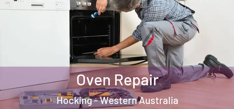 Oven Repair Hocking - Western Australia