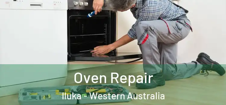 Oven Repair Iluka - Western Australia