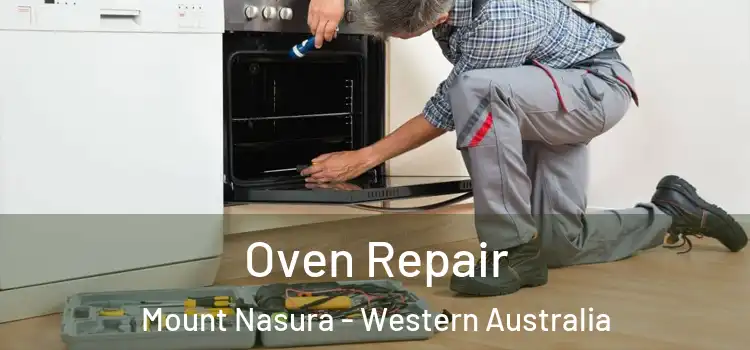 Oven Repair Mount Nasura - Western Australia