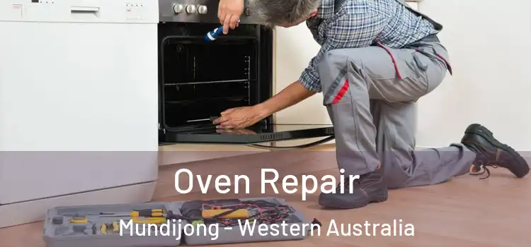 Oven Repair Mundijong - Western Australia
