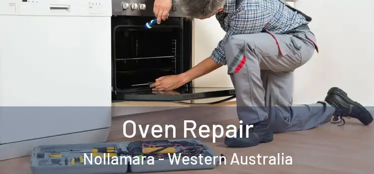 Oven Repair Nollamara - Western Australia