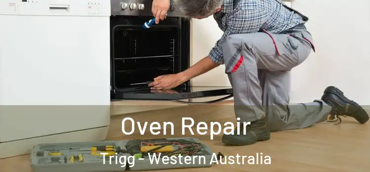 Oven Repair Trigg - Western Australia
