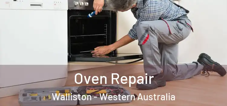 Oven Repair Walliston - Western Australia