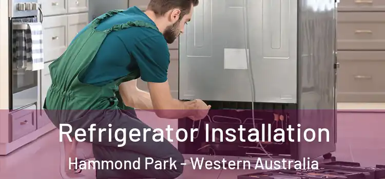Refrigerator Installation Hammond Park - Western Australia