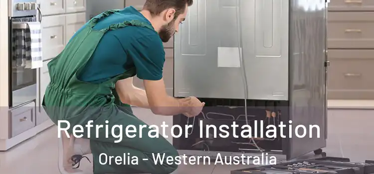 Refrigerator Installation Orelia - Western Australia