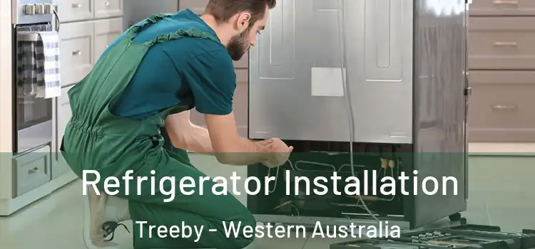 Refrigerator Installation Treeby - Western Australia