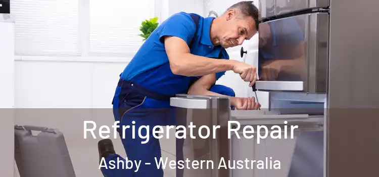 Refrigerator Repair Ashby - Western Australia
