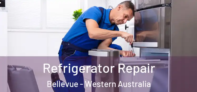 Refrigerator Repair Bellevue - Western Australia