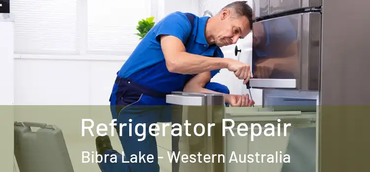 Refrigerator Repair Bibra Lake - Western Australia