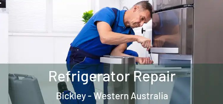 Refrigerator Repair Bickley - Western Australia