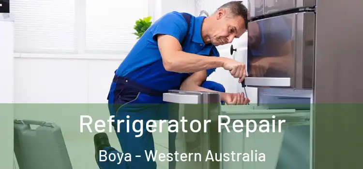 Refrigerator Repair Boya - Western Australia