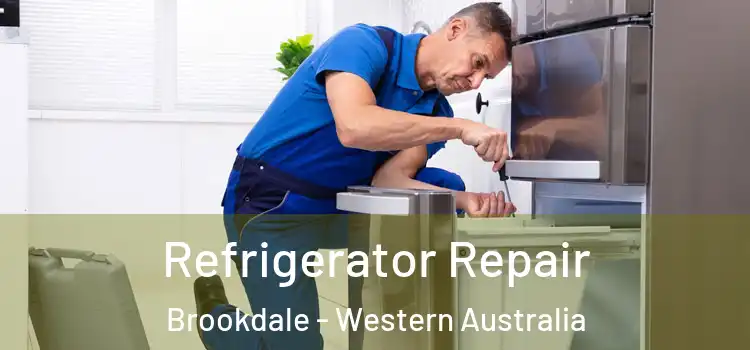 Refrigerator Repair Brookdale - Western Australia