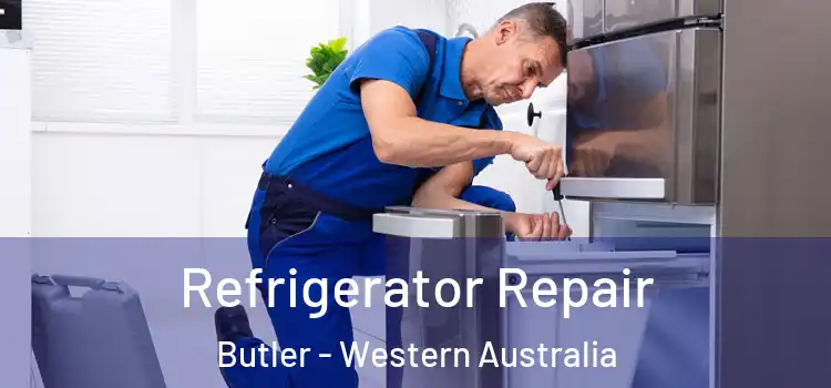 Refrigerator Repair Butler - Western Australia