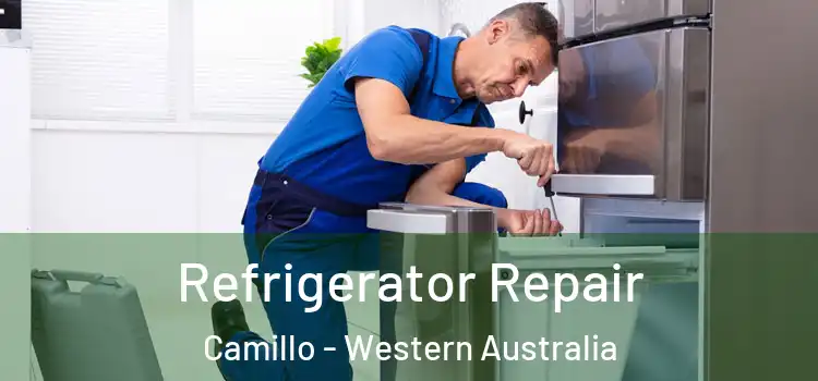 Refrigerator Repair Camillo - Western Australia