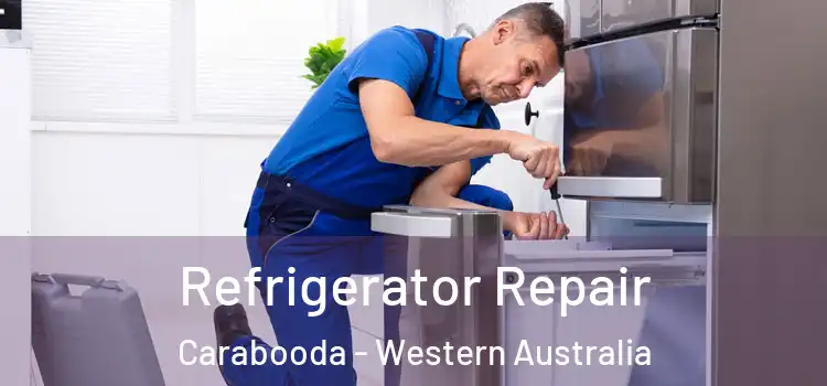 Refrigerator Repair Carabooda - Western Australia
