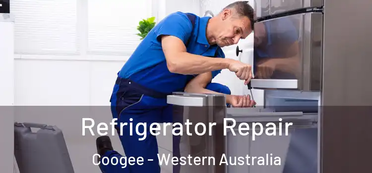 Refrigerator Repair Coogee - Western Australia