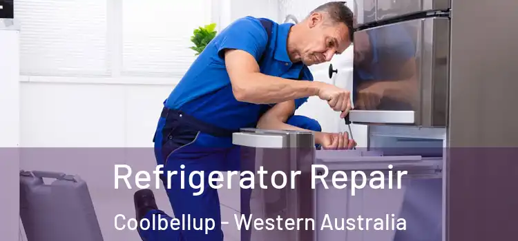Refrigerator Repair Coolbellup - Western Australia