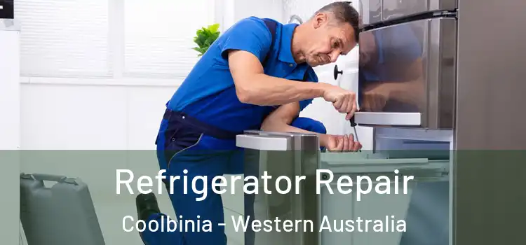 Refrigerator Repair Coolbinia - Western Australia