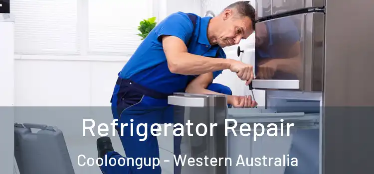 Refrigerator Repair Cooloongup - Western Australia