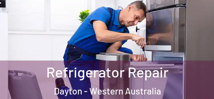 Refrigerator Repair Dayton - Western Australia