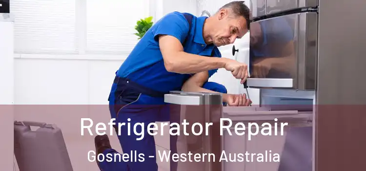 Refrigerator Repair Gosnells - Western Australia