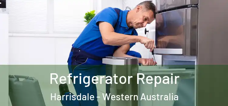 Refrigerator Repair Harrisdale - Western Australia