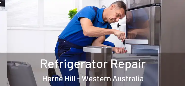 Refrigerator Repair Herne Hill - Western Australia
