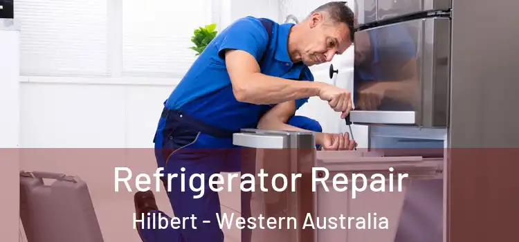 Refrigerator Repair Hilbert - Western Australia