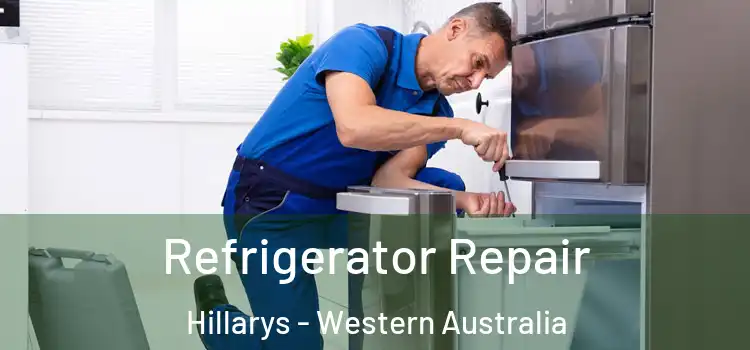 Refrigerator Repair Hillarys - Western Australia
