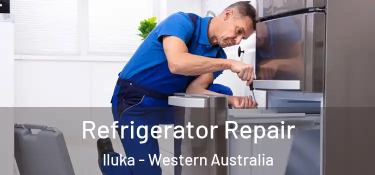 Refrigerator Repair Iluka - Western Australia