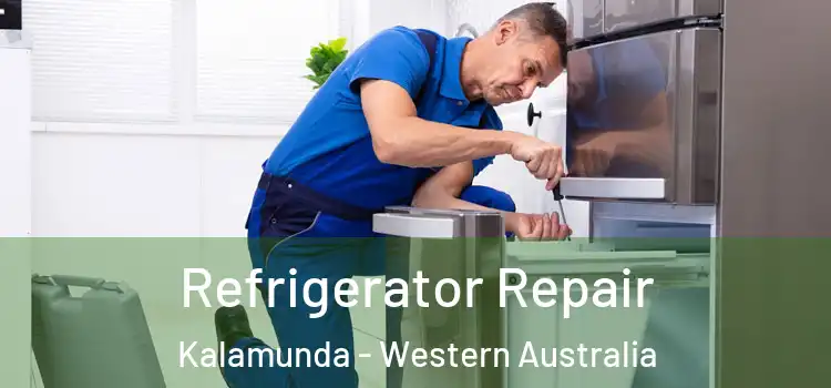 Refrigerator Repair Kalamunda - Western Australia