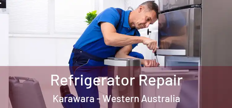 Refrigerator Repair Karawara - Western Australia
