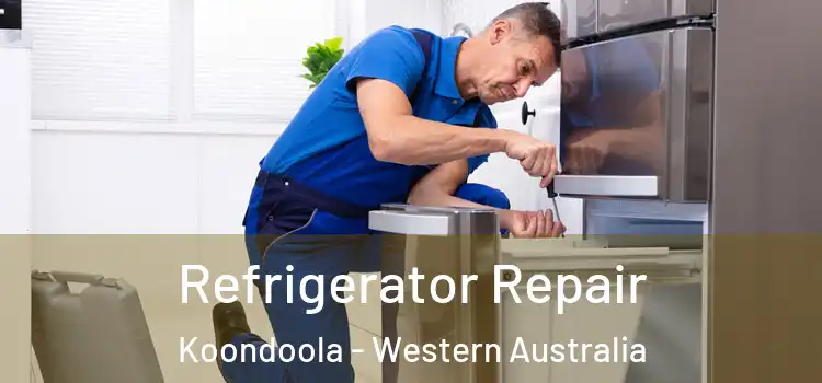 Refrigerator Repair Koondoola - Western Australia