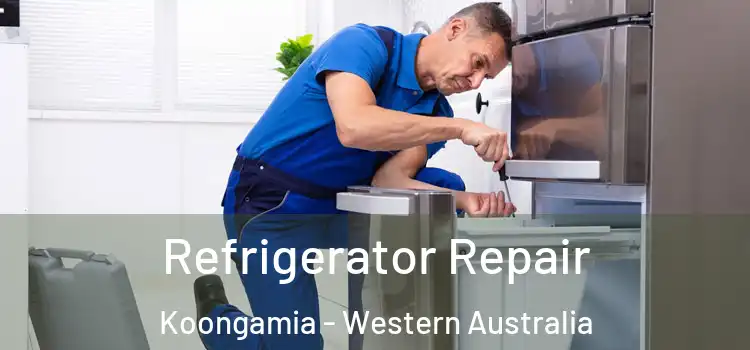 Refrigerator Repair Koongamia - Western Australia