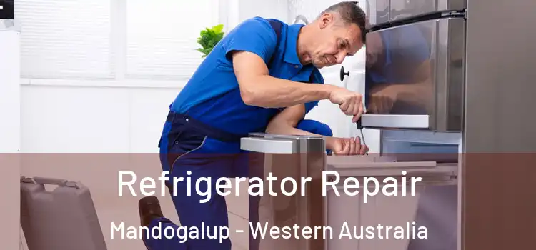 Refrigerator Repair Mandogalup - Western Australia