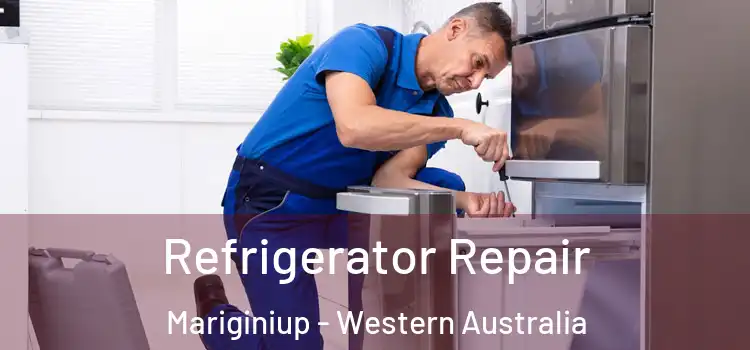 Refrigerator Repair Mariginiup - Western Australia
